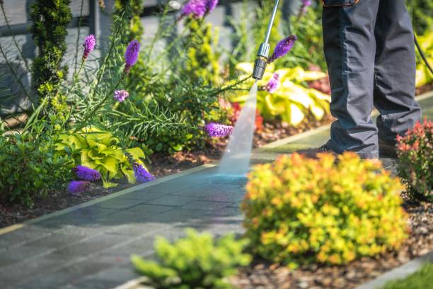 Professional Pressure Washing Services in Washington Heights, NY